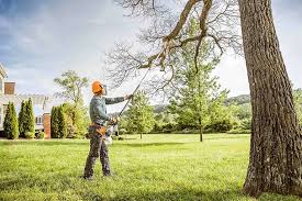 Reliable Shrewsbury, PA Tree Services Solutions